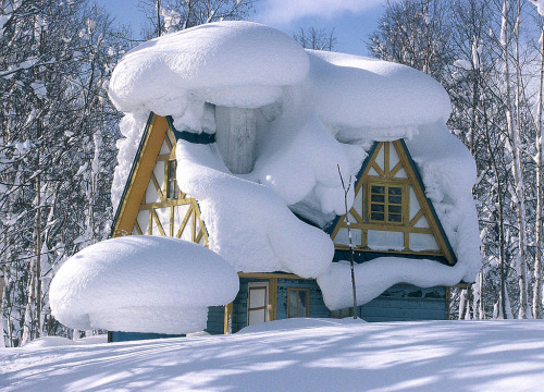 tselentis-arch: Snow blobs in Niseko-cho, Hokkaido Prefecture, Japan [+] Photo: Yamatime