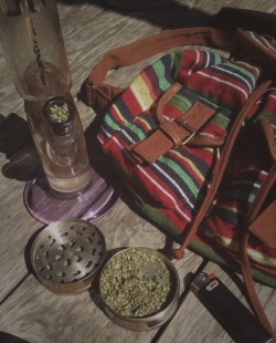 ╭∩╮WEED（︶︿︶）VIBES╭∩╮