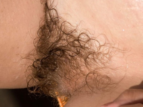 hairybushpussy:  curly pubes http://ift.tt/1wXsQ0Z