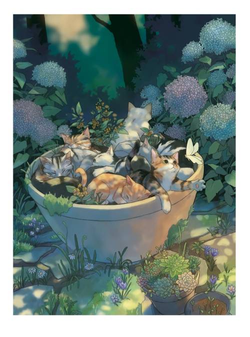 figdays:    Kitten in a Pot // Vetur02