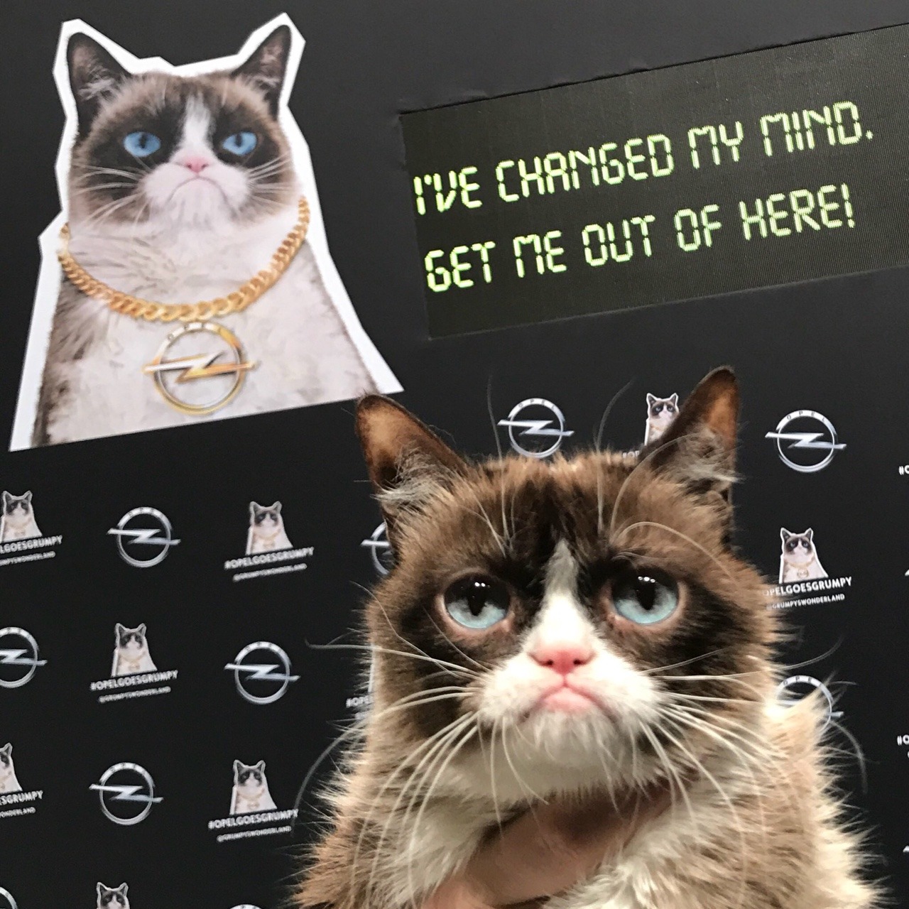 I loved working with Opel. Except Not. #OpelGoesGrumpy
