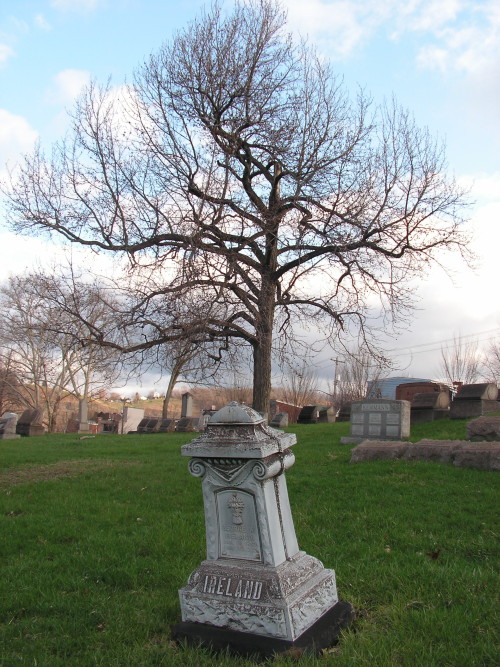 grrg63heavenonearth: Allegheny Cemetery 41115-12