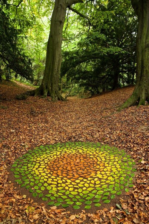 voiceofnature:LandArt by James Brunt