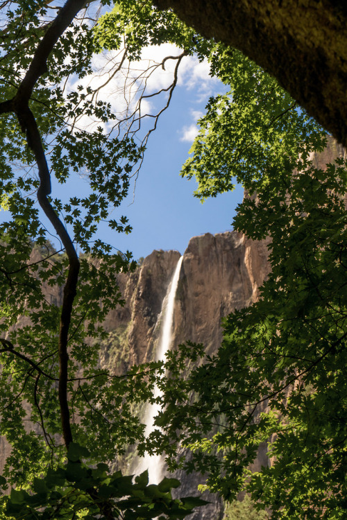 La cascada de Basaseachic en la Sierra Tarahumara.Chihuahua, México. Julio 2019. instagr