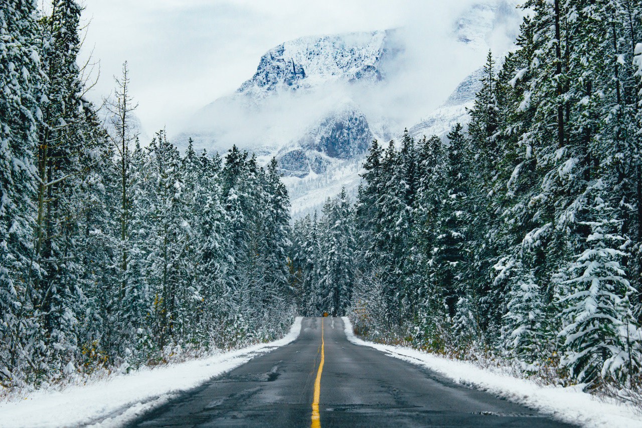behindthesehazeleeeyeees:  brianfulda:  First snow in the Canadian Rockies.Banff