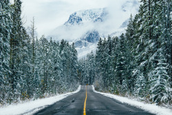 behindthesehazeleeeyeees:  brianfulda:  First snow in the Canadian Rockies.Banff and Jasper National Parks, Alberta, Canada. October 2016.  