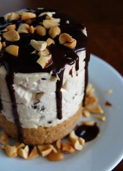 thecakebar:   Peanut Butter Chocolate Chip Torte