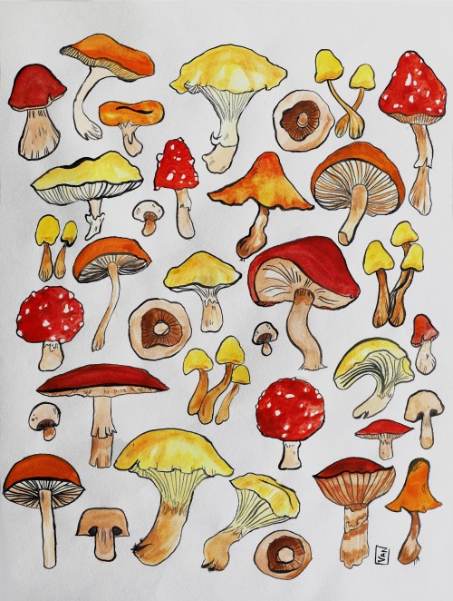 Big Mushrooms29 cm x 42 cmWatercolour and inkThis one was a delight to create - I had missed working