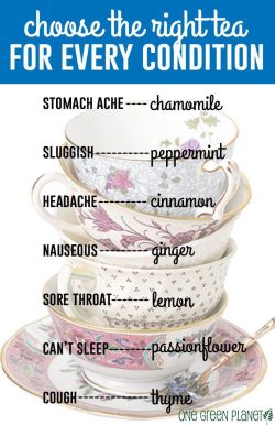 hella-bogus:  thatsilvertongue:  musemonthly:tea for your health! note that camomille and lavender are also both good in order to fight insomnia;ginger efficiently cuts off appetite, which might help you to control some midnight cravings;in most cases,