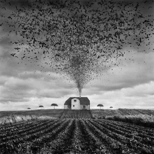 lysmagicsalvation:  f-l-e-u-r-d-e-l-y-s:  Surreal Photo Manipulation By Photographer Dariusz Klimczak Polish photographer Dariusz Klimczak composes dreamlike landscapes that hypnotize with their surprise and weirdness. The photographer’s digital photo