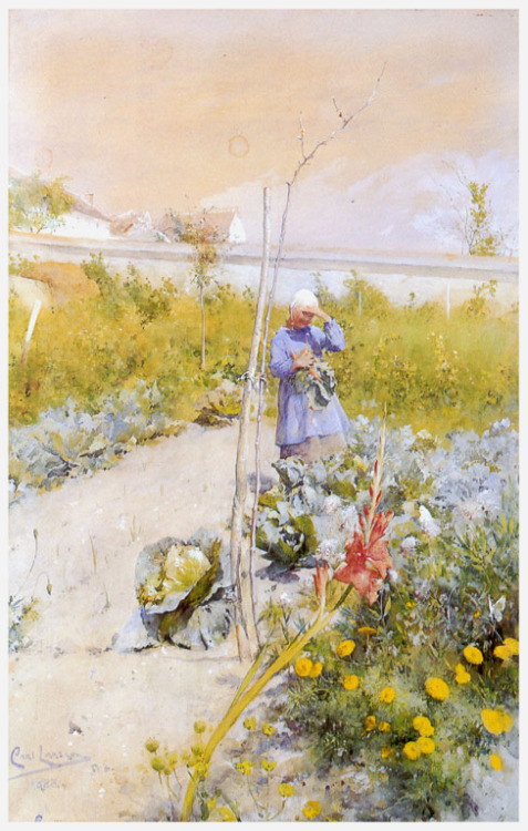 In the Kitchen Garden, 1883, Carl LarssonMedium: watercolor,paper