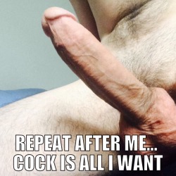 leathercockpriest:  Cock is all you need