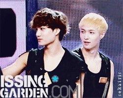 sekairis:  24/ ∞ EXO gifs | Kai (ft:lay's aniyo)   