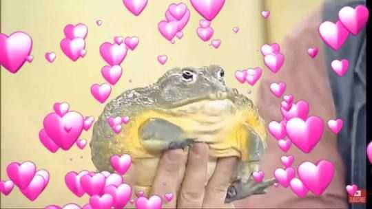 cmder:  plantwiitch:   cmder:  i don’t post. i secrete.  Good secretion op   