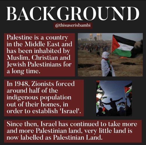 islamic-quotes: The truth about Palestinian - Israeli crisis, it’s not about religion but huma