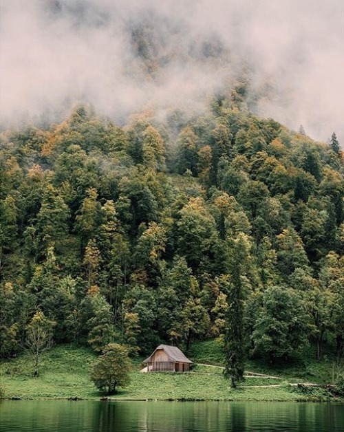 wistfullycountry:  Simon Vilgertshofer | @simon_vilgertshofer 
