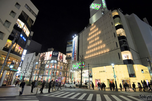Just posted a gallery of Christmas in Shibuya pics on the Tokyo Fashion Facebook page!