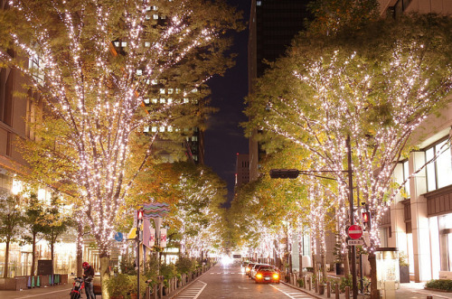 丸の内イルミネーション2012　Marunouchi Illumination 2012