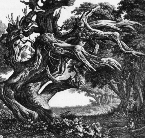 funeral-wreaths:  The forest in German Romanticism  Moritz von Schwind, The Apparition in the Forest, 1823Ludwig Richter, St Genoveva in the Forest, 1847-48Carl Wilhelm Kolbe, Fantastical Tree, 1830, and Lovers in a Grotto, 1830-35  