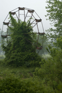 stored-snapshots:  Abandoned Ferris Wheel