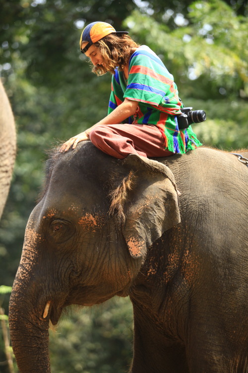 Porn photo hopefullyenough:  Patara Elephant Farm, Chiang