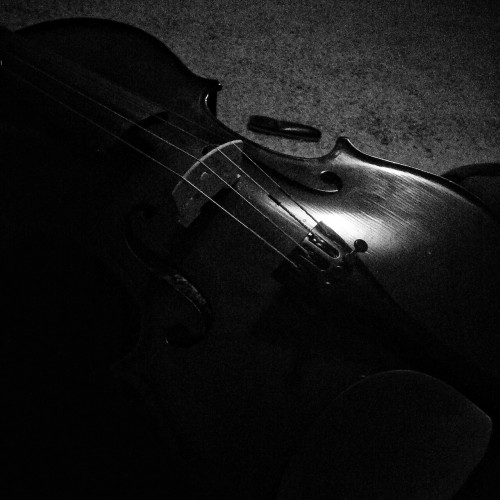 I have absolutely zero motivation to do anything anymore. Even playing my violin feels like a hassle