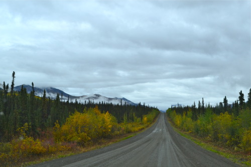 Dempster Highway 