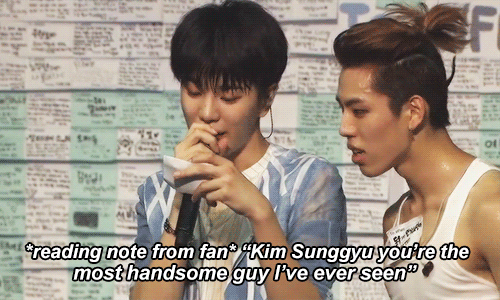 infinite has lied to us