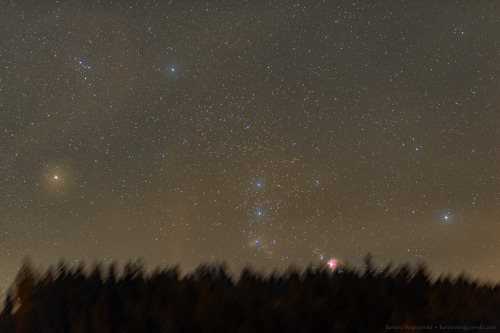 just–space:  Orion Rising  js