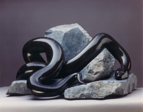 XXX digital-future: Black Snake, marble and limestone. photo