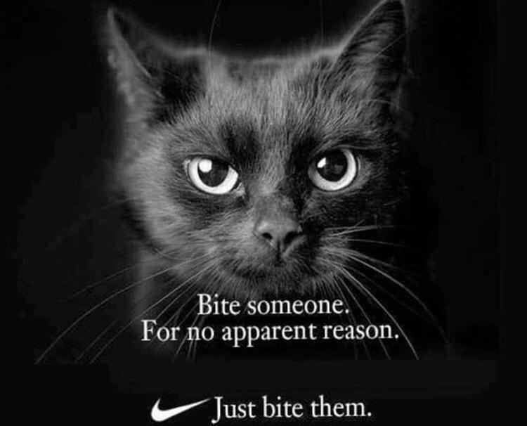 The fanciest of them all