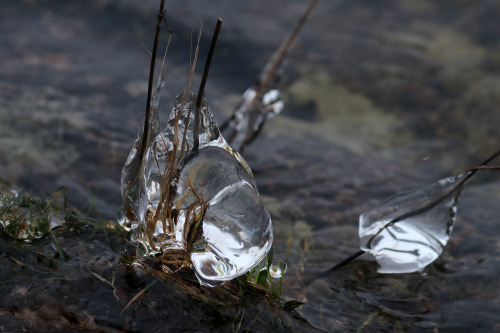 Ice formations by the shore of lake Frövettern.
