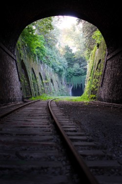 thibaudpoirier:  La Petite Ceinture, Parc Montsouris, Paris 