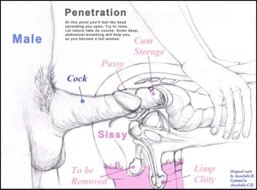 chloetransissy: Sissy anatomy lessons!