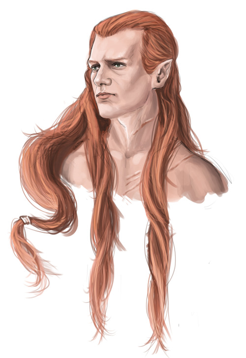 Maedhros with long hair (◡‿◡✿).I had to make a new version of this