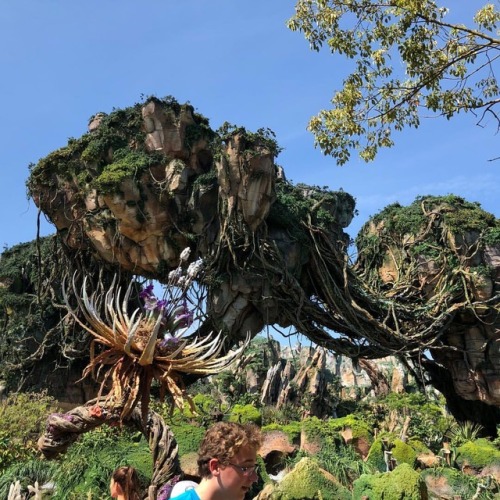 Smack in the middle of #Pandora #disneysanimalkingdom #avatar #fieldtrip #themepark