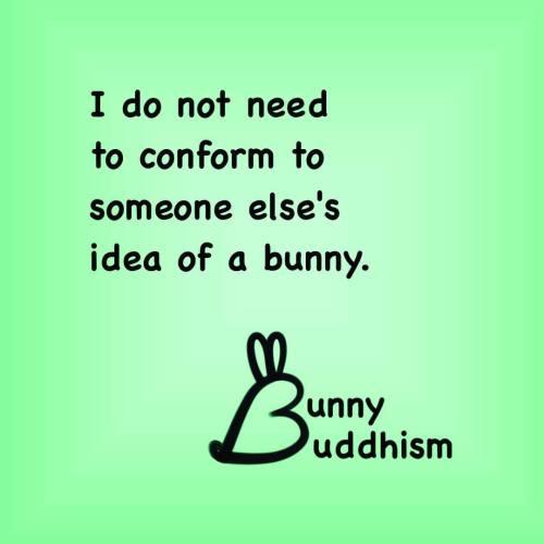 #bunnybuddhism #bunniness #bunnylove #bunnygram #quotes...