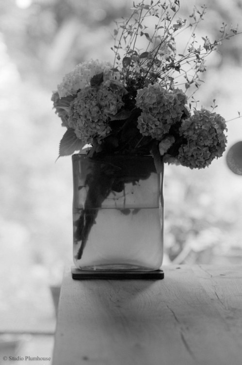 N0492019 by toshyie June. The season of rain and hydrangea arrived. Developed with Adox Silvermax de