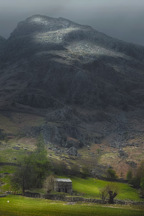 thepictorialist:Peaceful Spring—New Dungeon Ghyll, Lake District, Cumbria, UK 2012