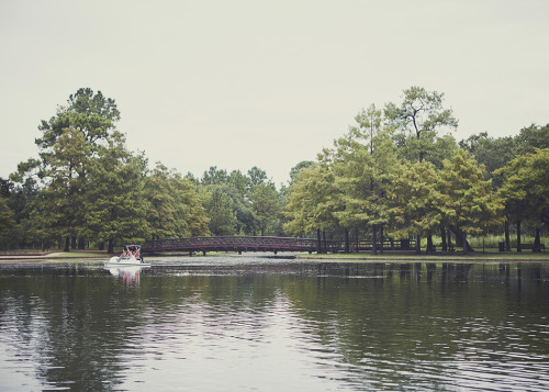 Hermann Park… Hermann Park is an expansive 445 acre park located near Houston’s museum 