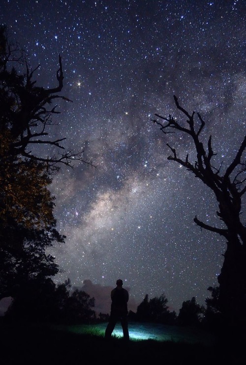 thedemon-hauntedworld:Milky Way Viewed from Reunion Island by Luc Perrot