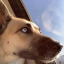 keepin-it-loki
