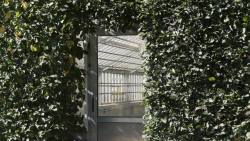ellanmwebb2:  Foliage covering the doors to the greenhouse // Foliage pressing against the glass 
