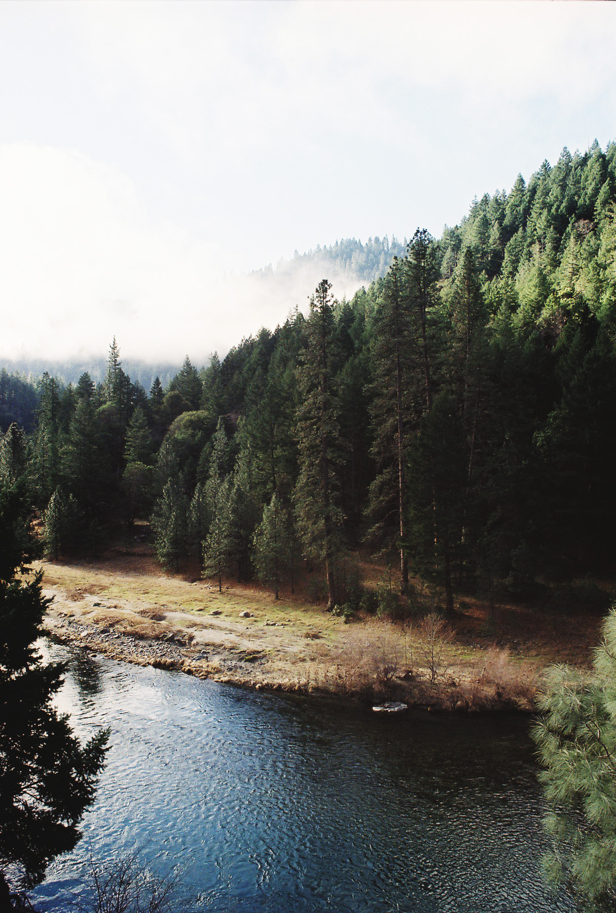 tastynate:    