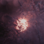 bordeauxbloodphoenix