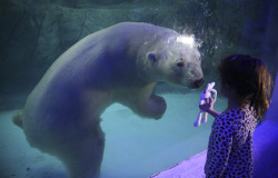 yahoonewsphotos:  A visitor holds up her