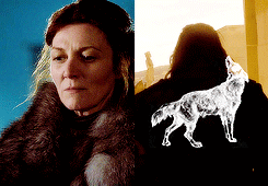 arthurdarvvill:  game of thrones meme: five houses [2/5]  ➤ House Stark  When the snows fall and the white winds blow, the lone wolf dies but the pack survives.  