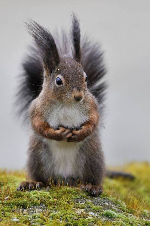 Sooo many squizles!!!!