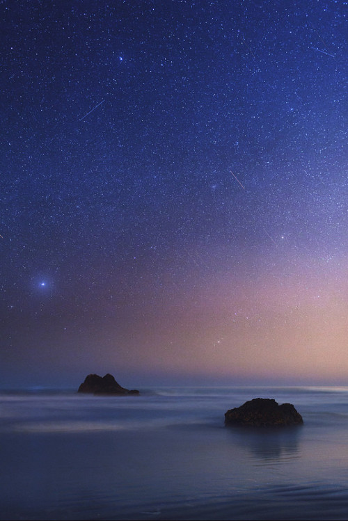 whensorrowshootsherdarts:  The Stars Above, By Tyler Brigham.  