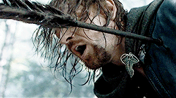 ahnbaehyo:           lord of the rings meme : one movie → the fellowship of